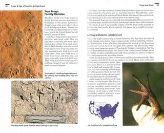 Tracks and sign of reptiles and amphibians: a guide to North American species.