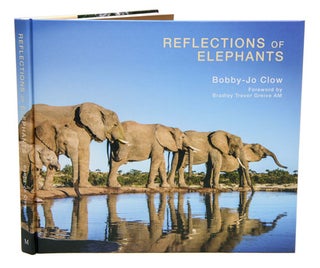 Reflections of elephants. Bobby-Jo Clow.