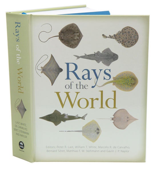 Stock ID 39206 Rays of the world. Peter Last.