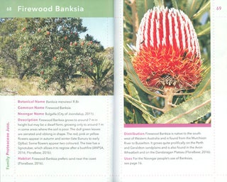 Noongar bush medicine: medicinal plants of the South-West of Western Australia.