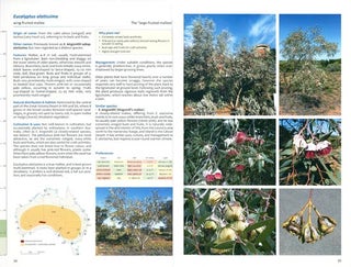 Smaller eucalypts for planting in Australia: their selection, cultivation and management.