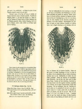 Die Vogel der palaarktischen Fauna. Systematische Ubersicht der in Europa, Nord-Asien und der Mittelmeerregion vorkommenden Vogel.