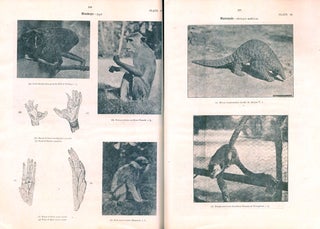 Some vertebrate animals of Ceylon, volume one.