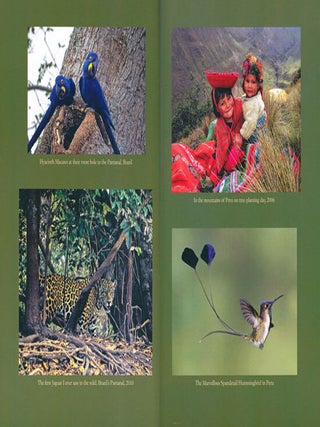 Wild things, wild places: adventurous tales of wildlife and conservation on planet Earth.