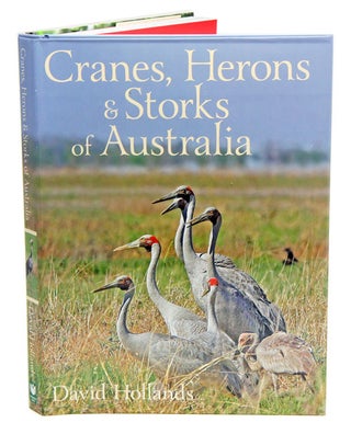 Stock ID 39271 Cranes, herons and storks of Australia. David Hollands