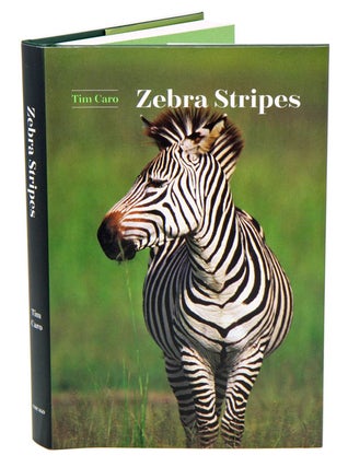 Stock ID 39296 Zebra stripes. Tim Caro