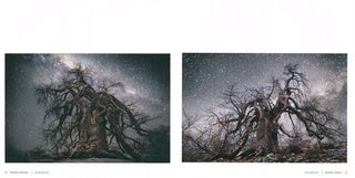 Ancient skies, ancient trees.