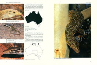 Australian reptiles and frogs.