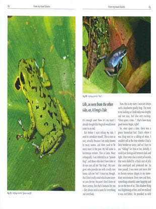 Keeping and breeding Poison frogs: the small species.