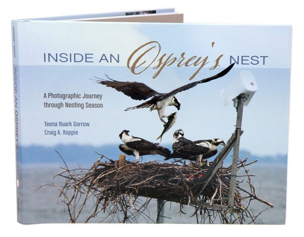 Stock ID 39394 Inside an Osprey's nest: a photographic journey through nesting season. Teena Ruark Gorrow, Craig Koppie.