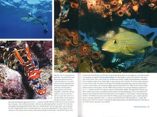 Underwater photography: a pictorial guide to shooting great pictures.