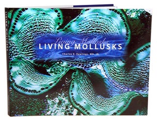Stock ID 39418 Living mollusks. Charles E. Rawlings