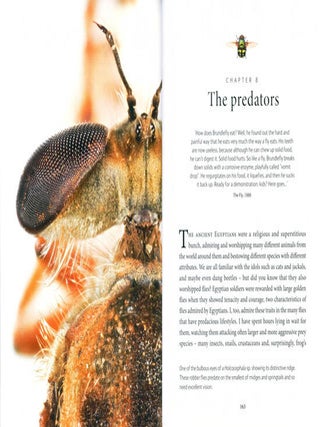 The secret life of flies.
