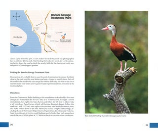 Birds of Aruba, Bonaire, and Curacao: a site and field guide.