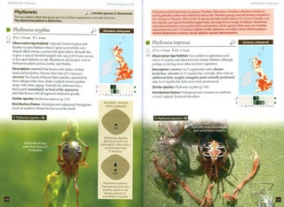 Britain's spiders: a field guide.
