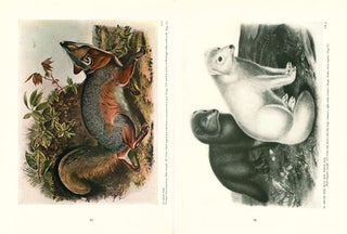 Audubon's animals: the quadrupeds of North America.