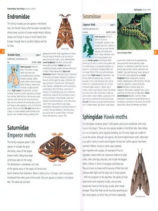 Field guide to the moths of Great Britain and Ireland.