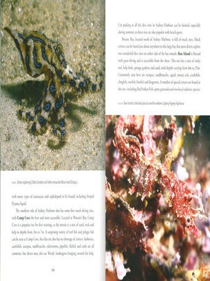 Muck diving: a diver's guide to the wonderful world of critters.