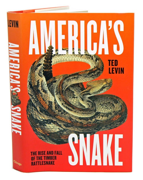 Stock ID 39575 America's snake: the rise and fall of the Timber rattlesnake. Ted Levin.