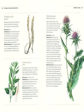 The gardener's companion to medicinal plants: an A-Z of healing plants and home remedies.