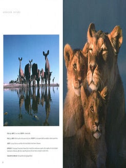 African safari: into the great game reserves.
