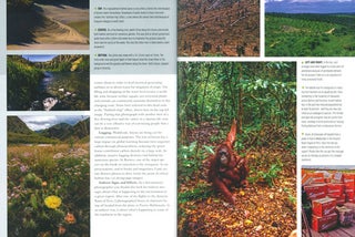 Conservation photography handbook.