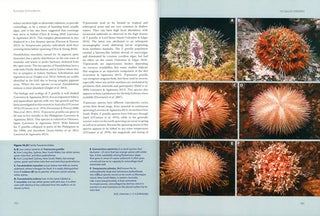 Australian echinoderms: biology, ecology and evolution.