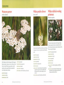 The Xerces Society gardening for butterflies: how you can attract and protect beautiful, beneficial insects.