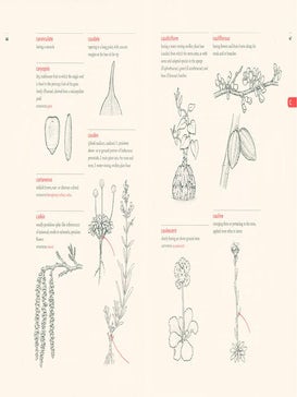 A botanist's vocabulary.