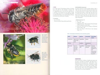 Australian native bees: a practical handbook.