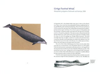 Beaked whales: a complete guide to their biology and conservation.
