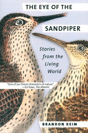 The eye of the sandpiper: stories from the living world. Brandon Keim.