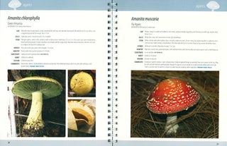 A guide to the common fungi of coastal New South Wales.
