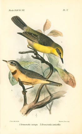 Catalogue of the Passeriformes, or perching birds in the Collection of the British Museum. Coliomorphae: part four, containing the concluding portion of the family Timeliidae (Babbling-thrushes)
