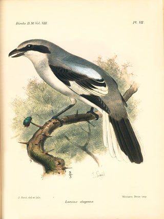 Catalogue of the Passeriformes, or perching birds in the Collection of the British Museum. Coliomorphae: part five, containing the families Paridae and Laniidae (Titmice and Shrikes) and Certhiomorphae (Creepers and Nuthatches).