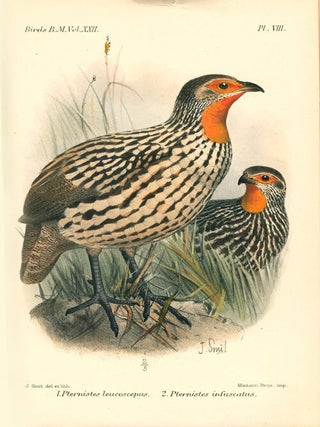 Catalogue of the game birds (Pterocletes, Gallinae, Opisthocomi, Hemipodii) in the Collection of the British Museum.