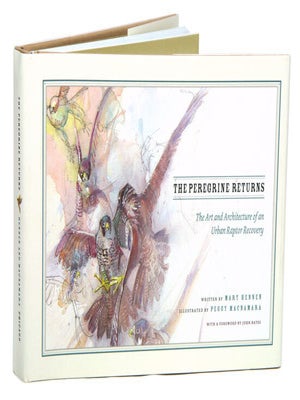 Stock ID 39840 The Peregrine returns: the art and architecture of an urban raptor recovery. Mary...
