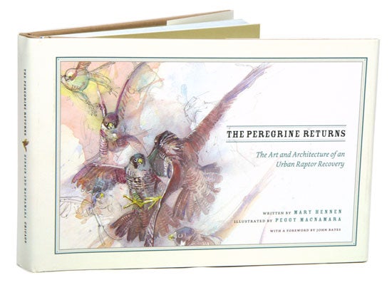 Stock ID 39840 The Peregrine returns: the art and architecture of an urban raptor recovery. Mary Hennen.