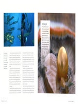 Big Pacific: an incredible journey of exploration and revelation.