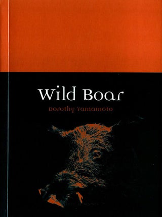 Stock ID 39859 Wild boar. Dorothy Yamamoto
