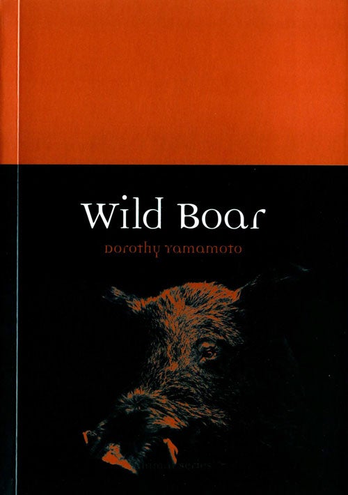 Stock ID 39859 Wild boar. Dorothy Yamamoto.
