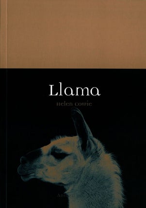 Stock ID 39860 Llama. Helen Cowie