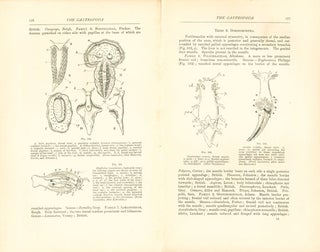 A treatise on zoology, part five: Mollusca.