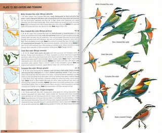 Birds of Oman.