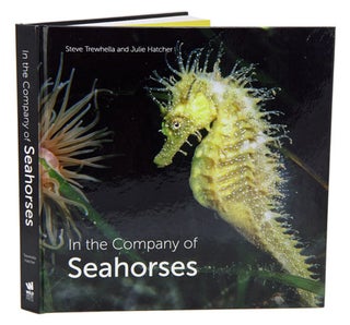Stock ID 39933 In the company of seahorses. Steve Trewhella, Julie Hatcher