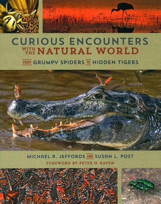 Stock ID 39961 Curious encounters with the natural world: from grumpy spiders to hidden tigers....
