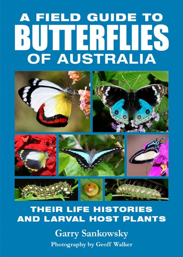 Stock ID 39970 A field guide to butterflies of Australia: their life histories and larval host plants. Garry Sankowsky, Geoff Walker.