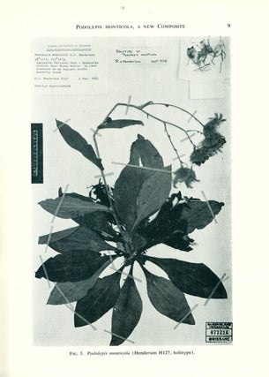 Contributions from the Queensland Herbarium, numbers 1-19.