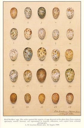 A cabinet of Reed-warblers: a monograph dealing with the Acrocephaline warblers of the world, and embracing all known species and sub-species.