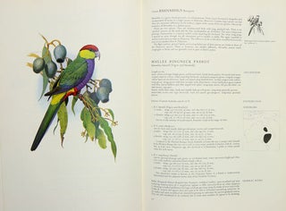 Parrots of the world.